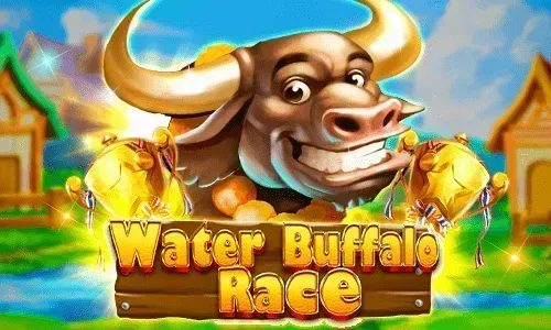 Water Buffalo Race
