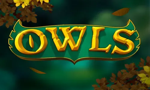 Owls